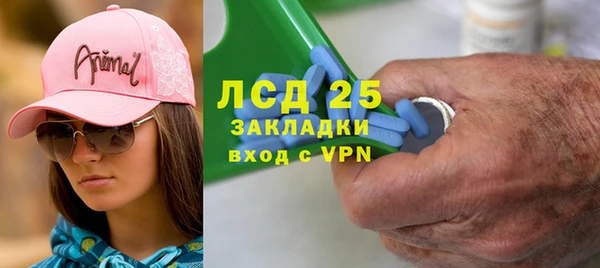 PSILOCYBIN Богородицк
