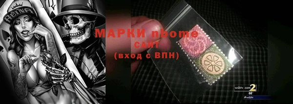 PSILOCYBIN Богородицк