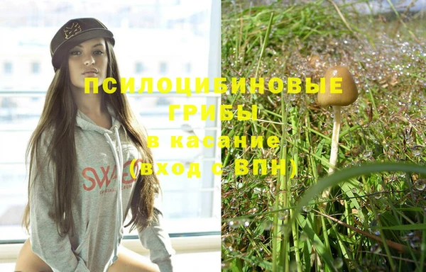 спиды Белая Холуница