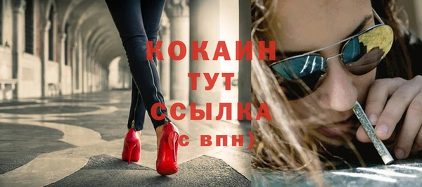 таблы Бородино