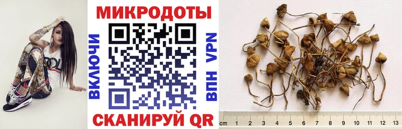 кракен ТОР  наркота  Высоцк  Псилоцибиновые грибы MAGIC MUSHROOMS 